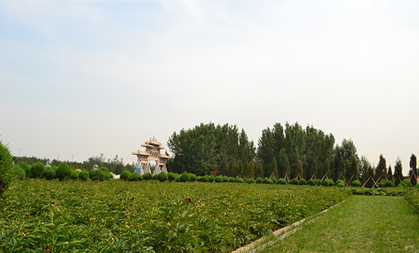 宝瓶陵盛夏景观